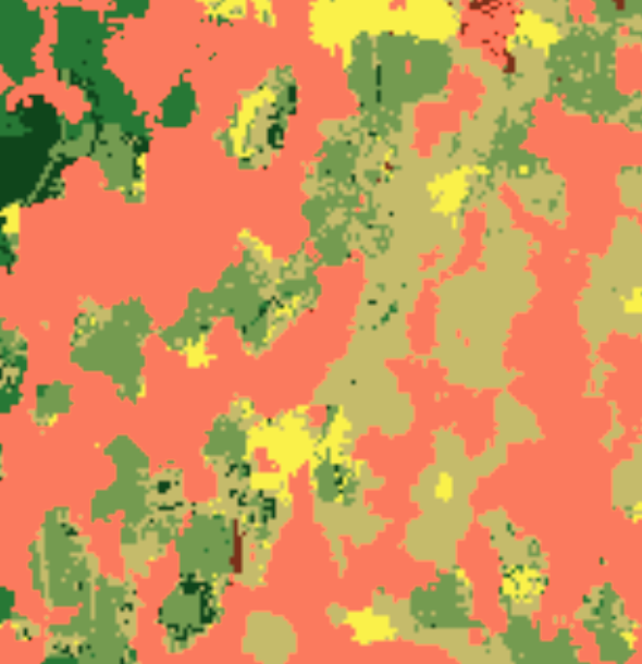 NDVI vegetation health overlay