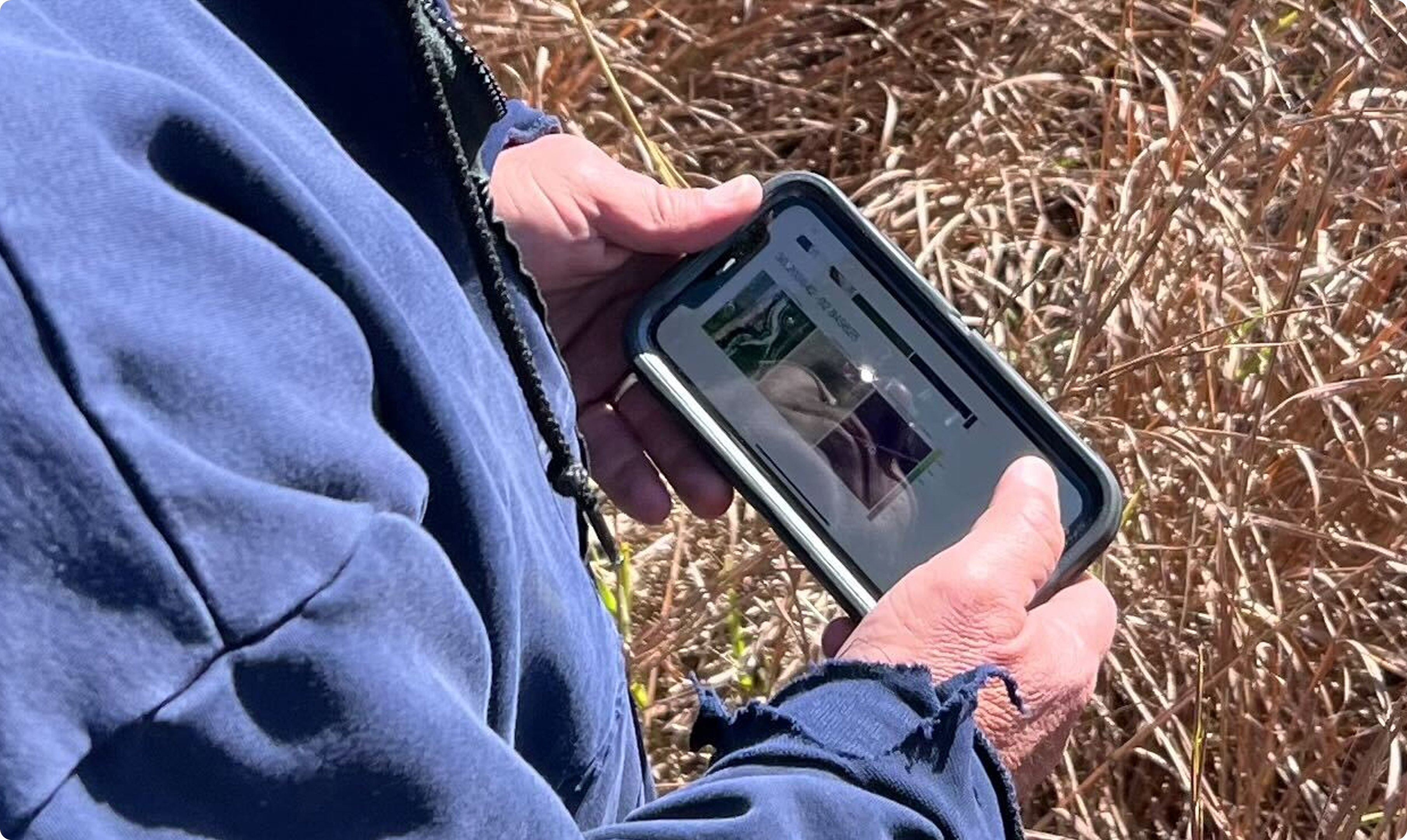 Operator using phone in field